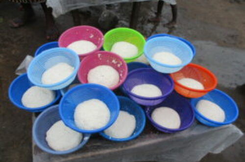 Article : Bénin : La sécurité alimentaire à Glazoué grâce au soja