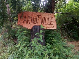Article : Raconte-moi Carnotville !
