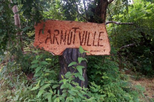 Article : Raconte-moi Carnotville !