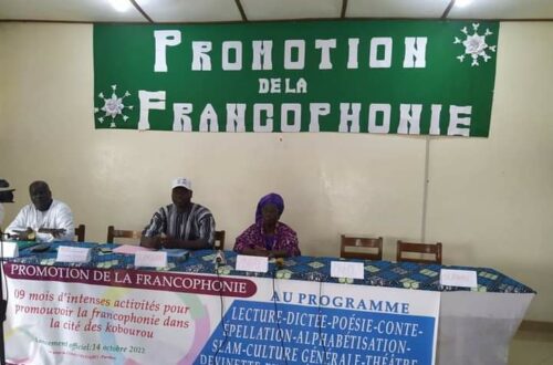 Article : Bénin : Le centre Okouabo lance le projet promotion de la francophonie à Parakou