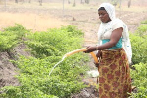 Article : Et si tout le Bénin cultivait sa santé ?