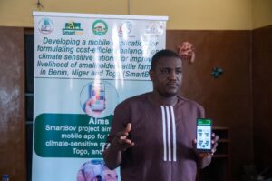 Article : Élevage bovin en Afrique de l’Ouest : SmartBov, l’application qui révolutionne l’alimentation des troupeaux